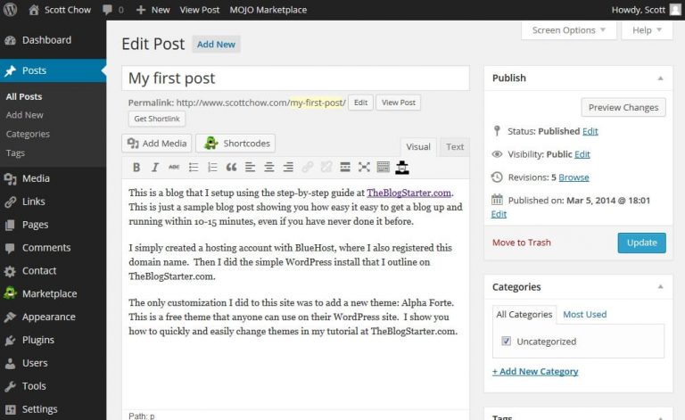 How to Write a Blog With WordPress ?